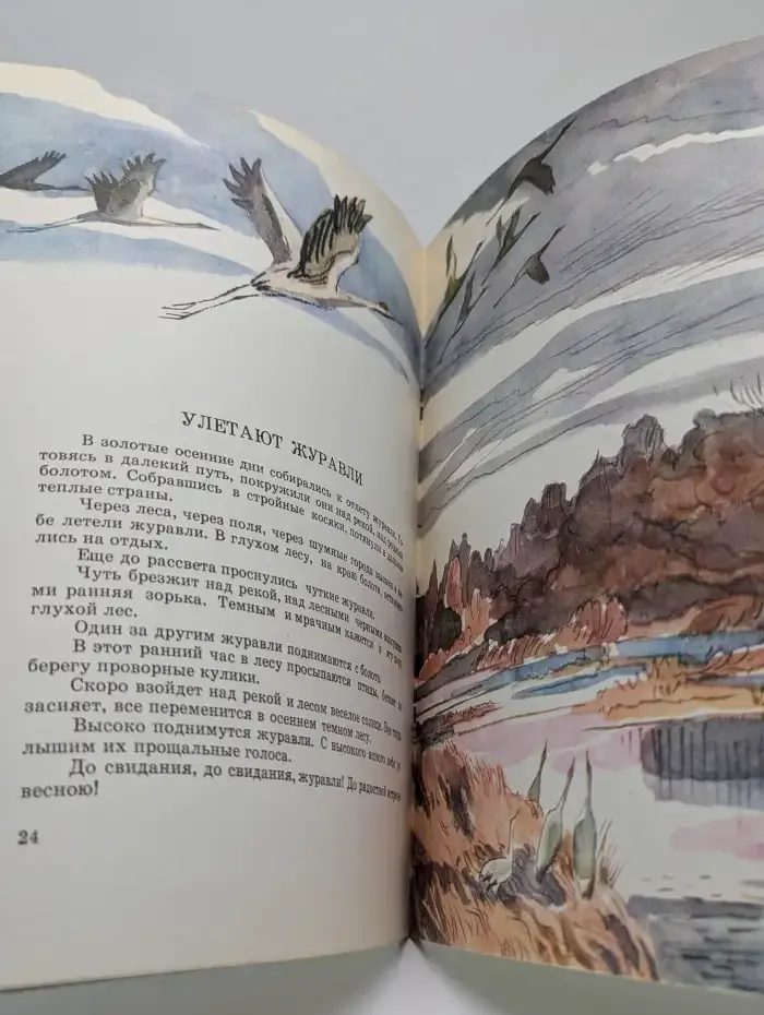 Лесные картинки
