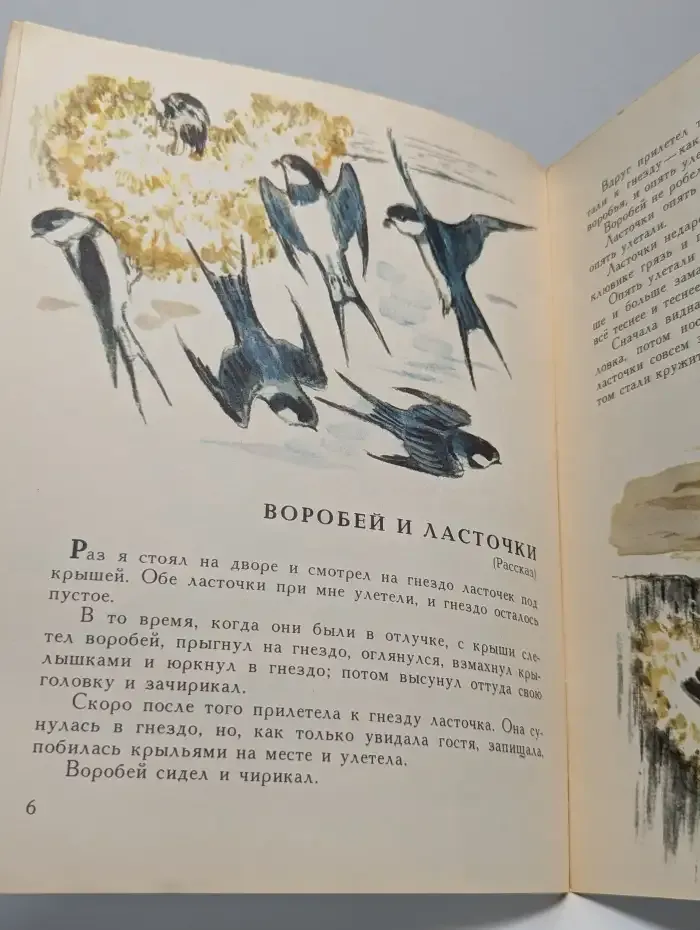 О животных и птицах