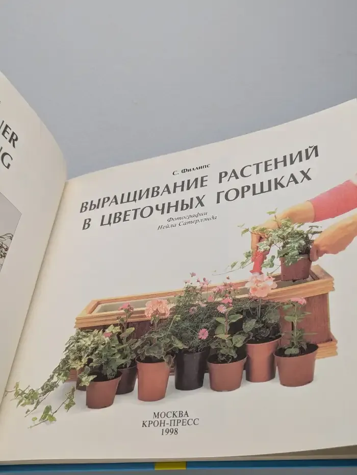 Выращивание растений в цветочных горшках