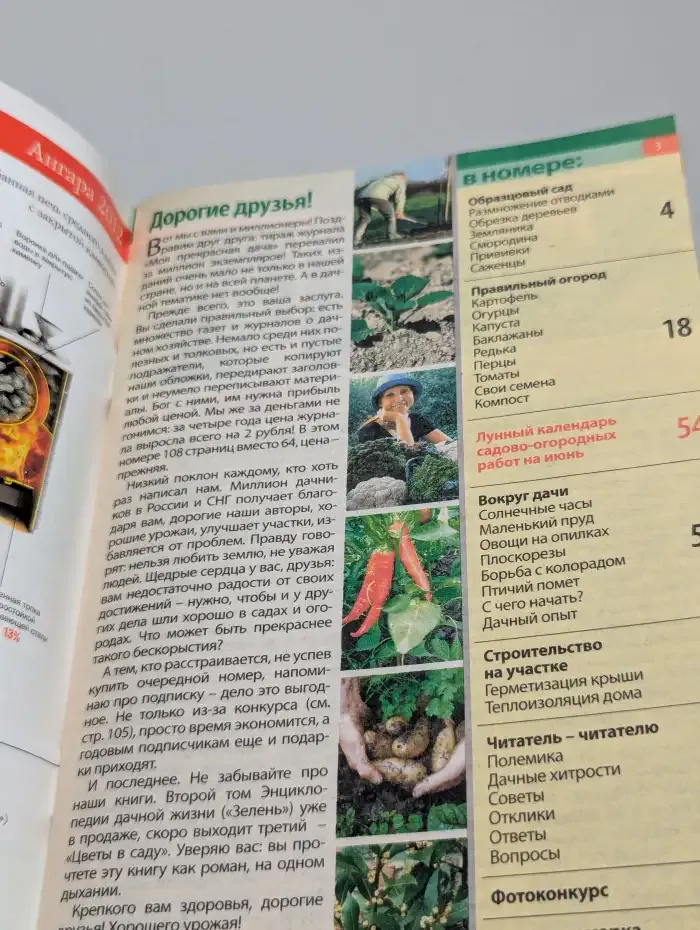 Моя прекрасная дача. Номер 5. 2012