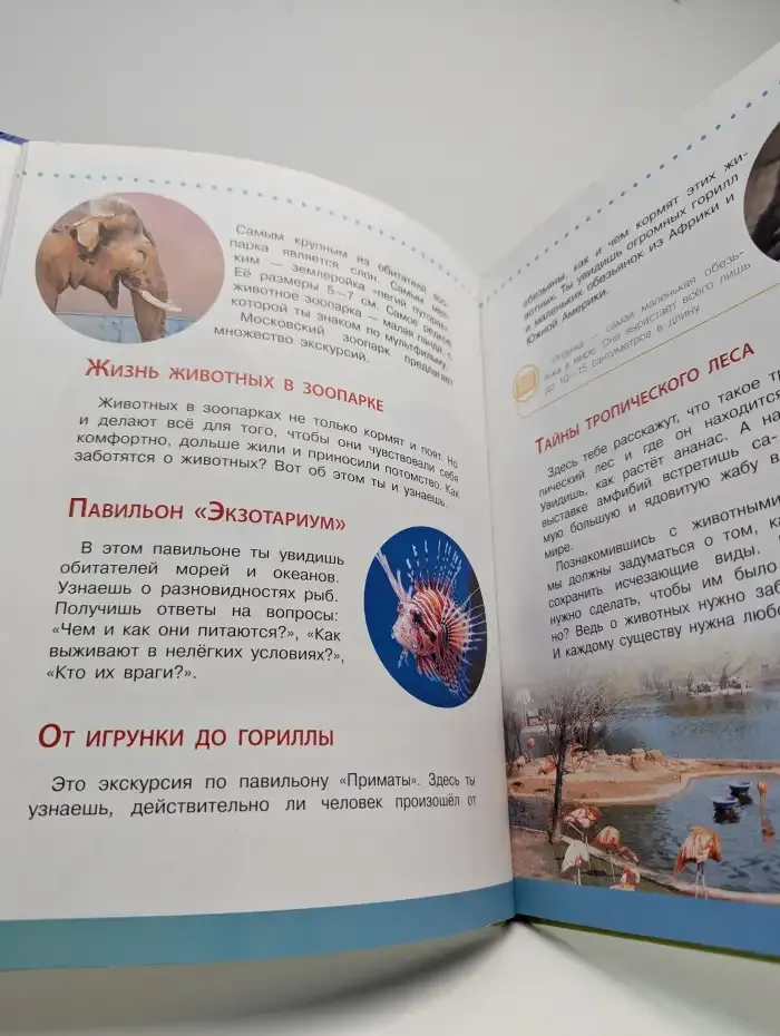 Экологическая азбука Москвы