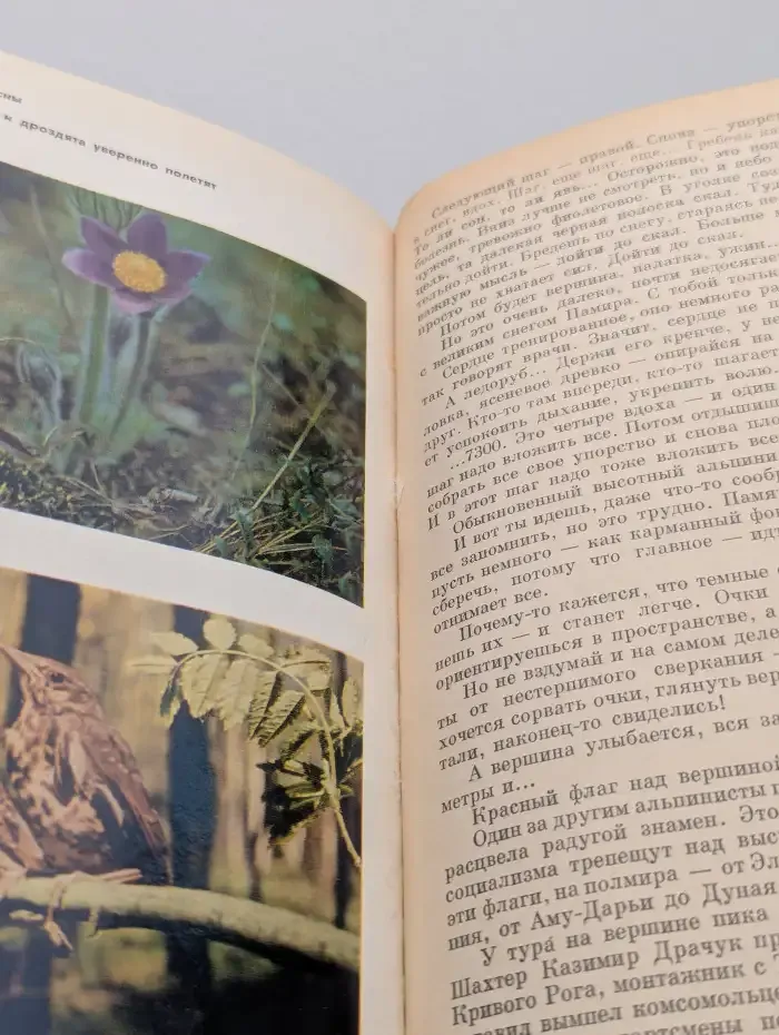 На суше и на море, 1974