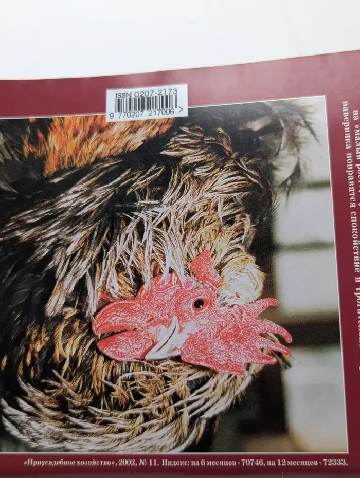 Приусадебное хозяйство №11, 2002