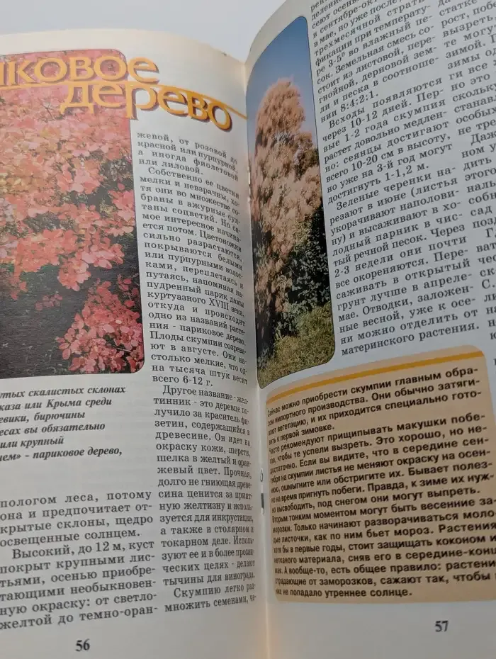 Приусадебное хозяйство №11, 2002