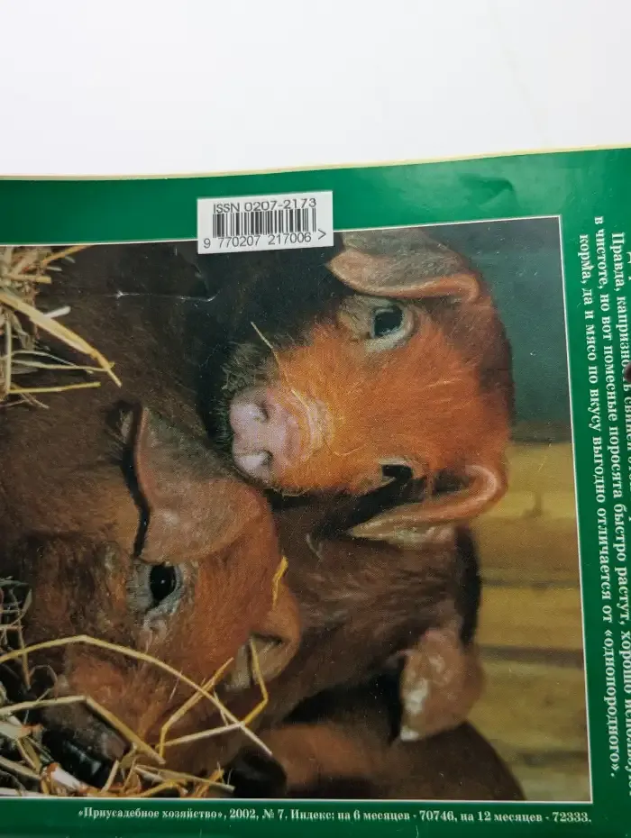 Приусадебное хозяйство №7, 2002