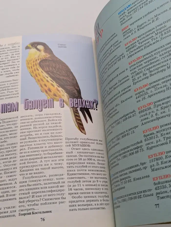 Приусадебное хозяйство №7, 2002