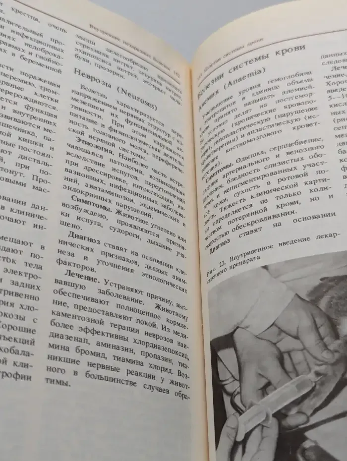 Домашние кошки