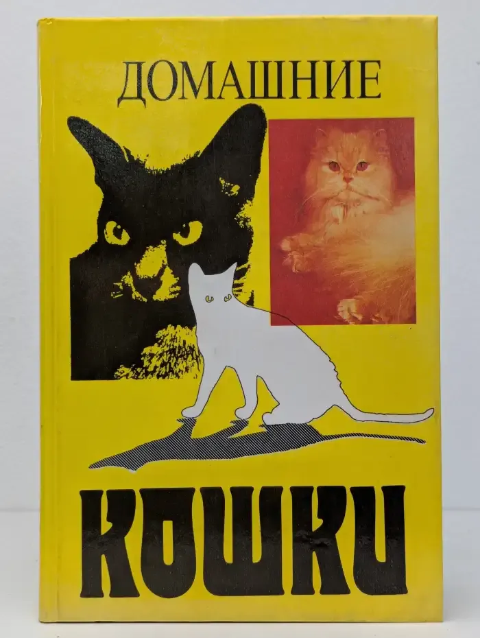 Домашние кошки