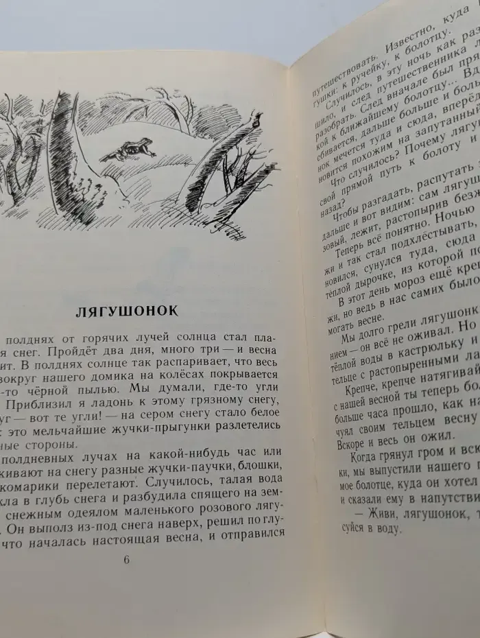 Лисичкин хлеб