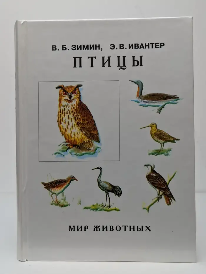 Птицы