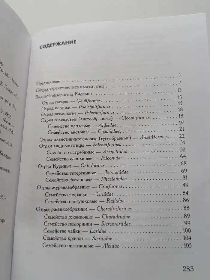 Птицы