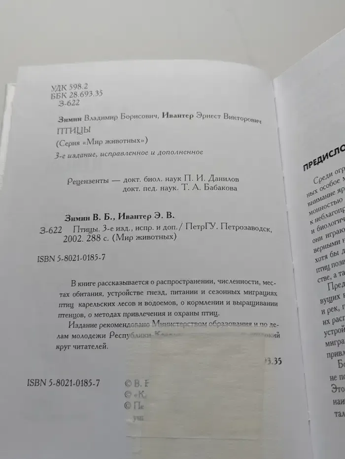 Птицы