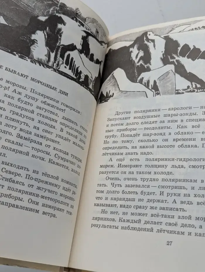 Твоя Арктика
