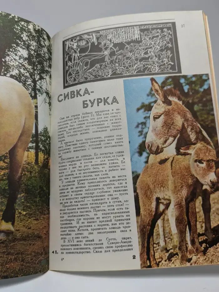 Юный натуралист. Выпуск № 9/1973