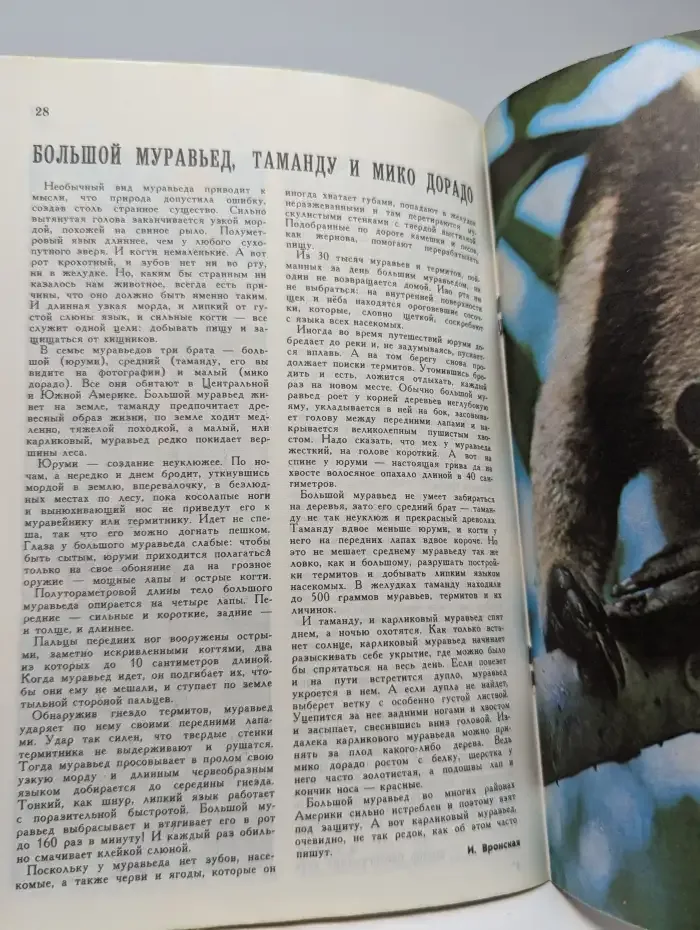 Юный Натуралист. Выпуск № 12/1975