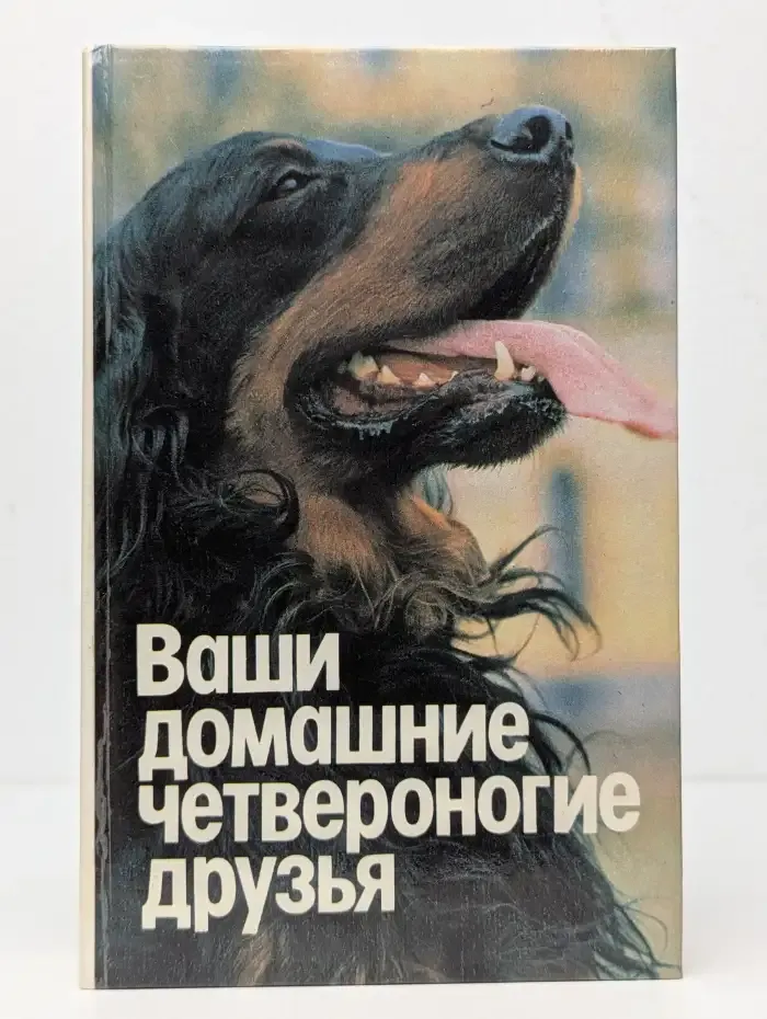 Ваши домашние четвероногие друзья