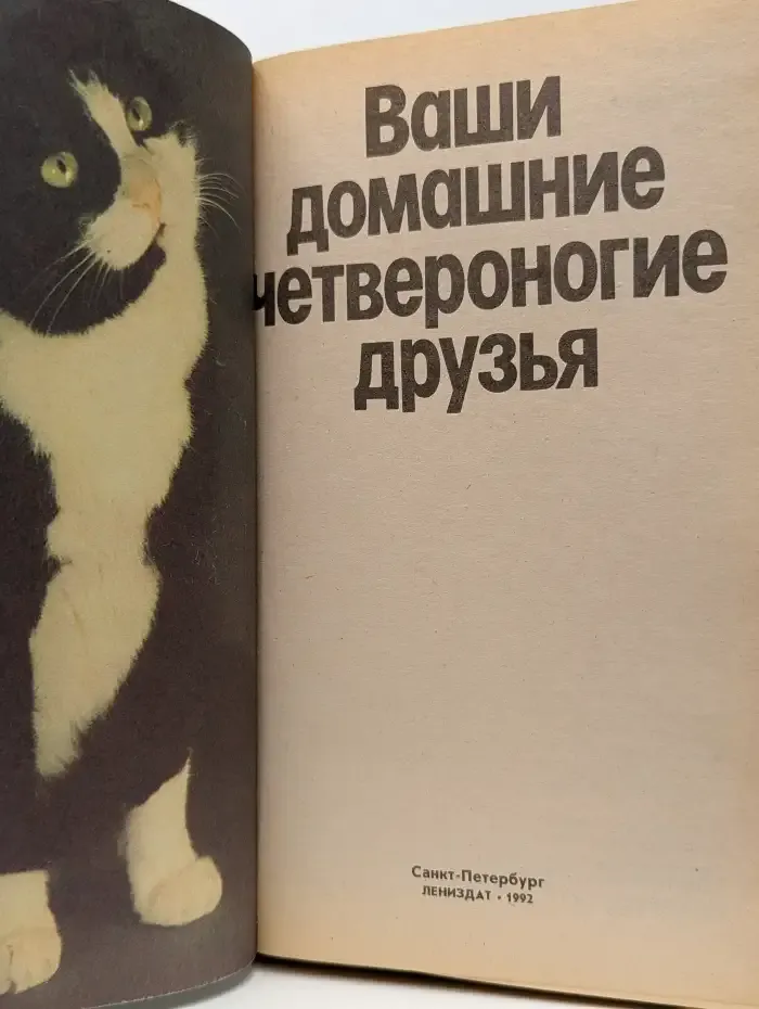 Ваши домашние четвероногие друзья