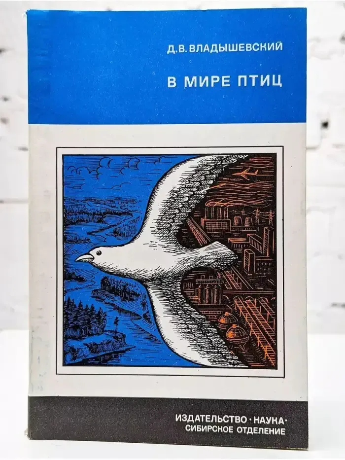 В мире птиц