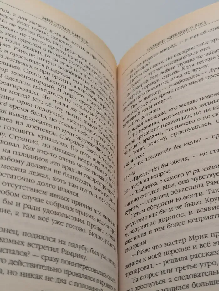 Паладин мятежного бога