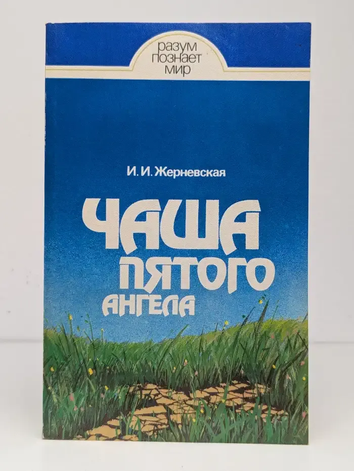 Чаша пятого ангела