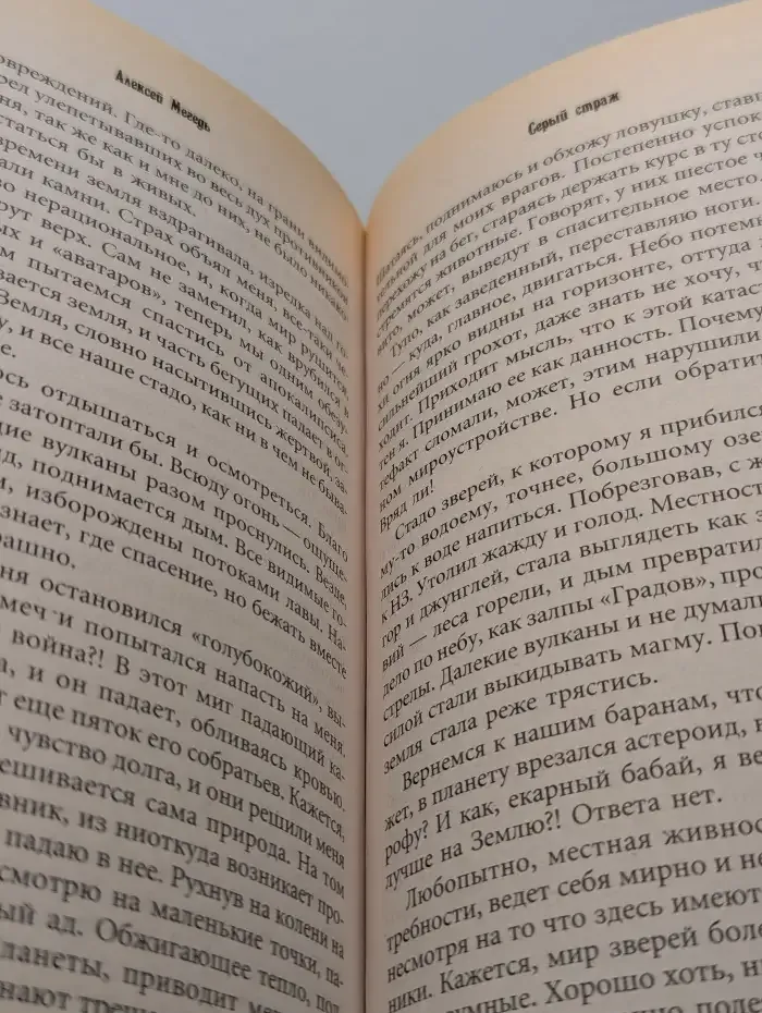 Серый страж