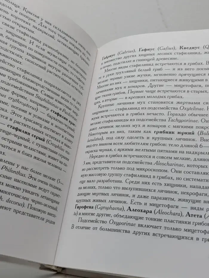 Насекомые