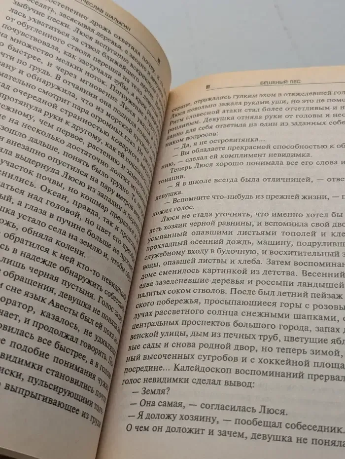 Бешеный пес