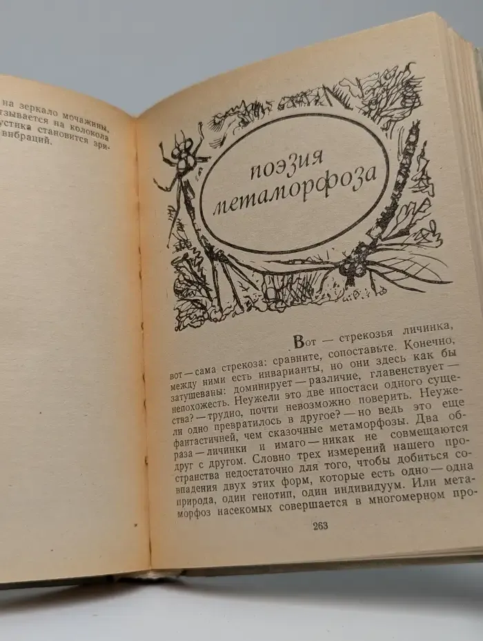 Прозрачность