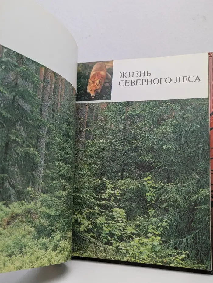 Дарвинский заповедник