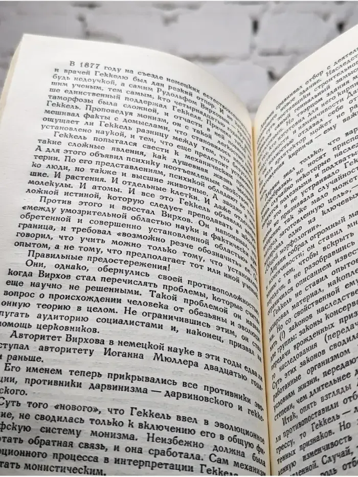 Раскрывшаяся тайна бытия