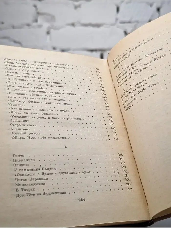 Нарочанские сосны