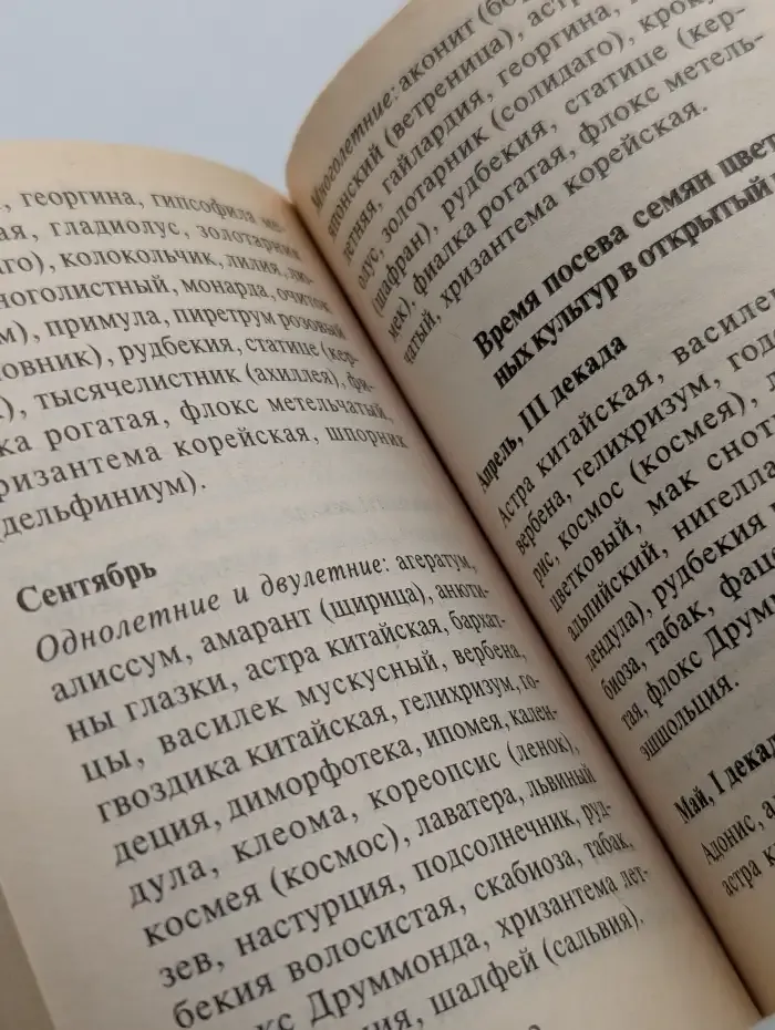 Во саду ли, в огороде