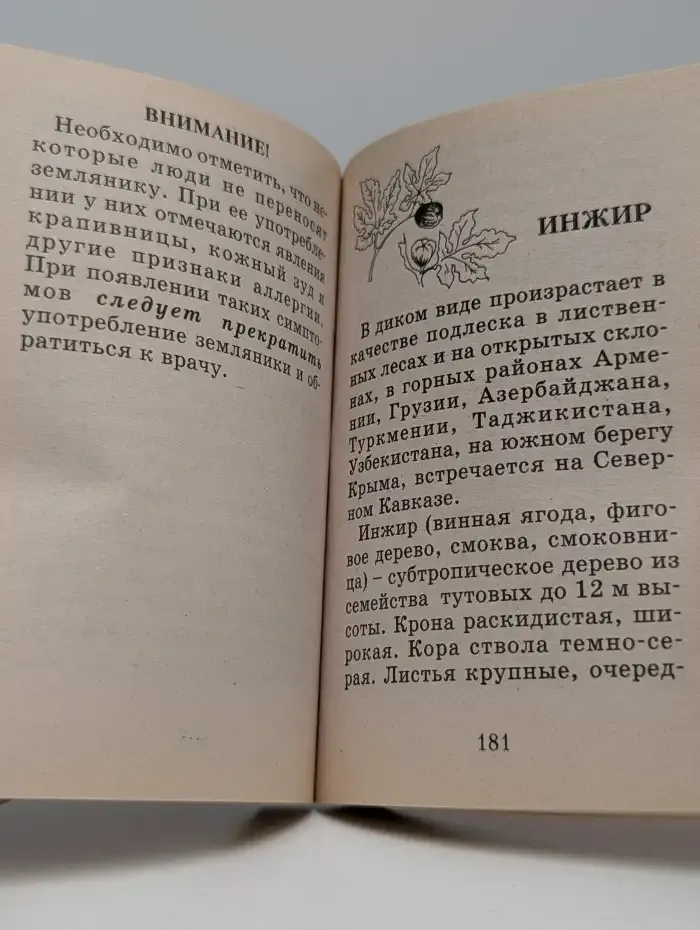 Целебные фрукты и ягоды