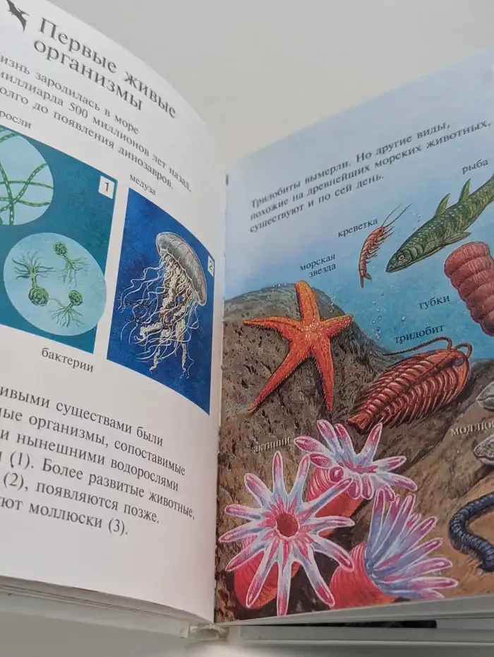 Динозавры