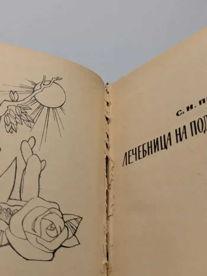 Лечебница на подоконнике