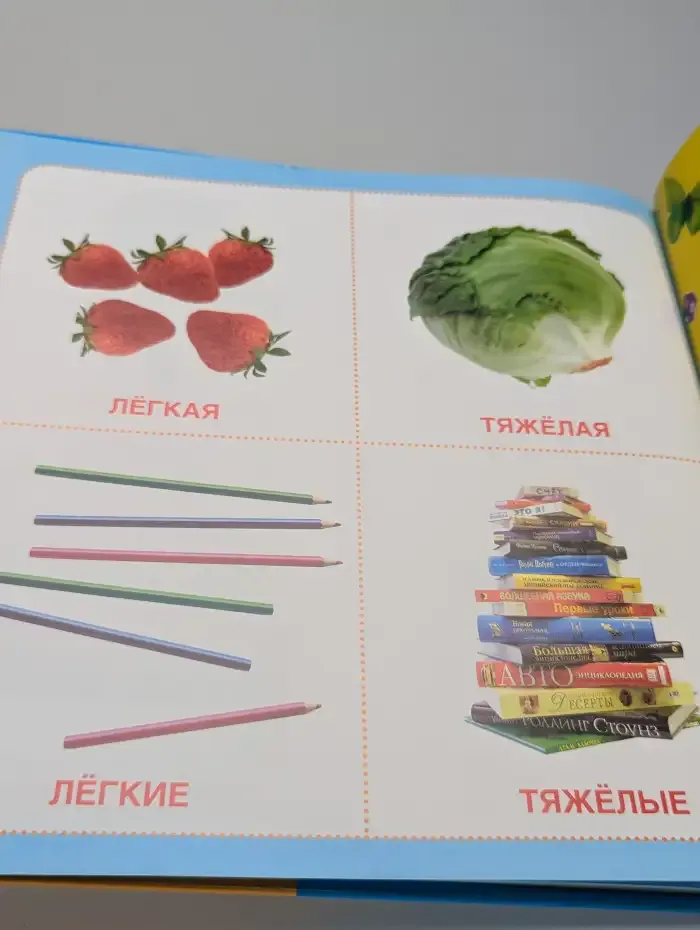 Свойства предметов