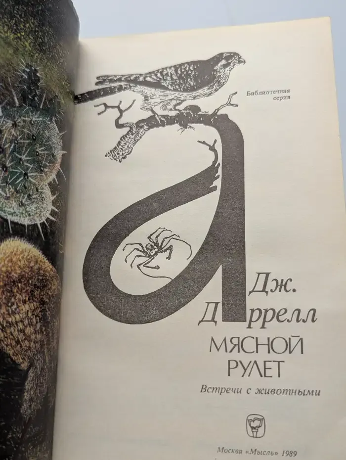 Мясной рулет