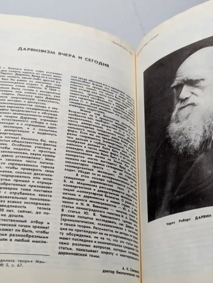 Природа №6, 1982