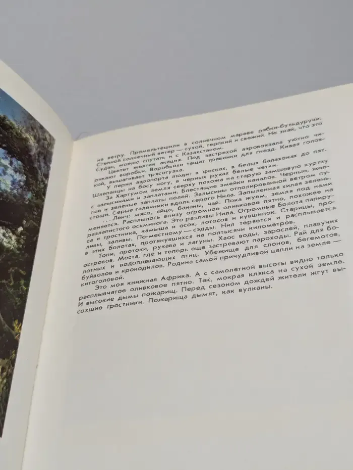 Миомбо