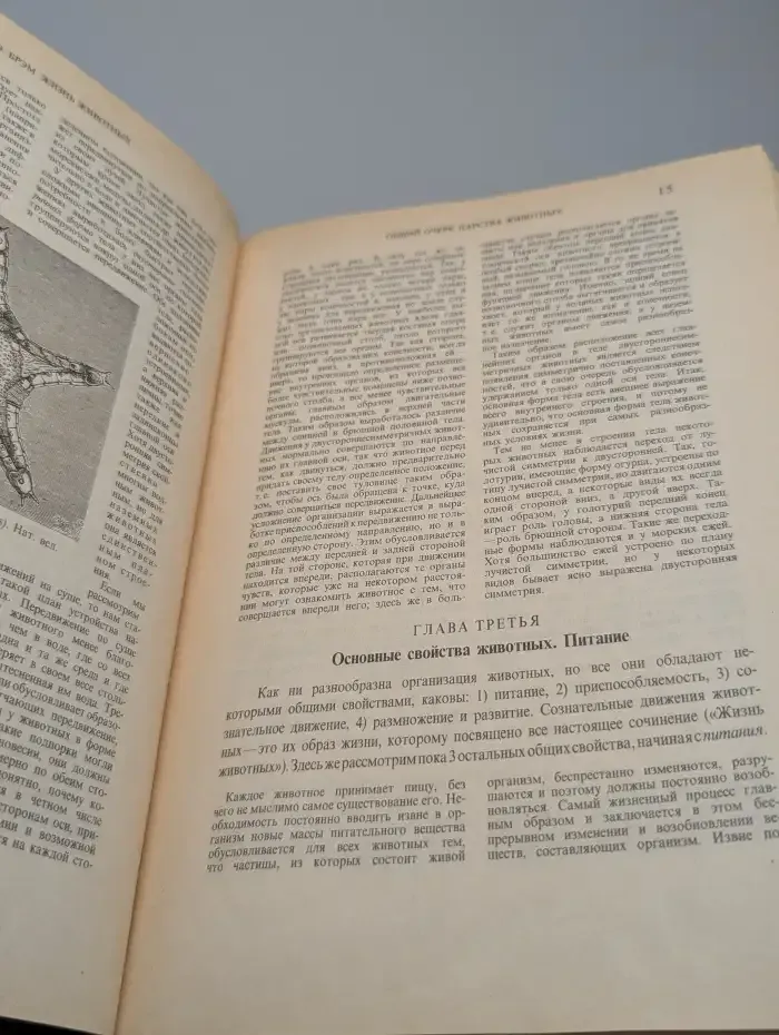 Жизнь животных. Том 1. Млекопитающие