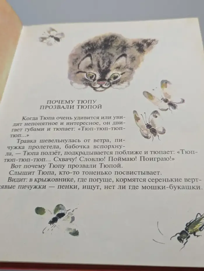 Тюпа, Томка и сорока