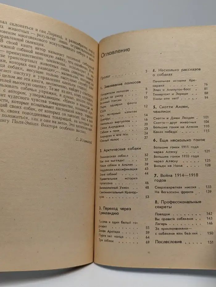 Ездовые собаки — друзья по риску