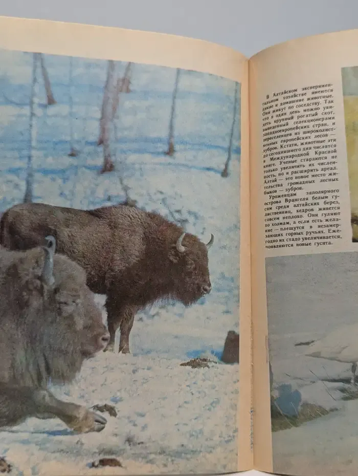 Юный натуралист. Выпуск № 1/1988