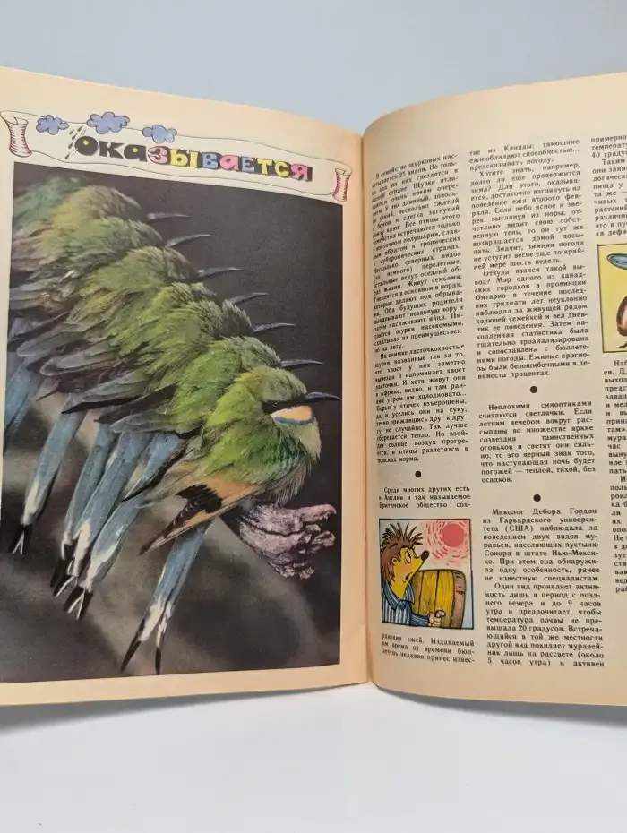 Юный натуралист. Выпуск № 5/1989