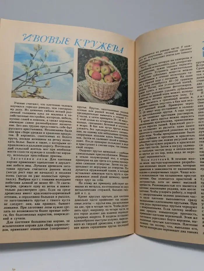 Юный натуралист №8, 1988