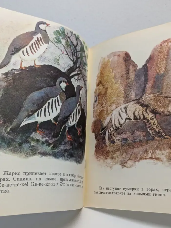В заповеднике