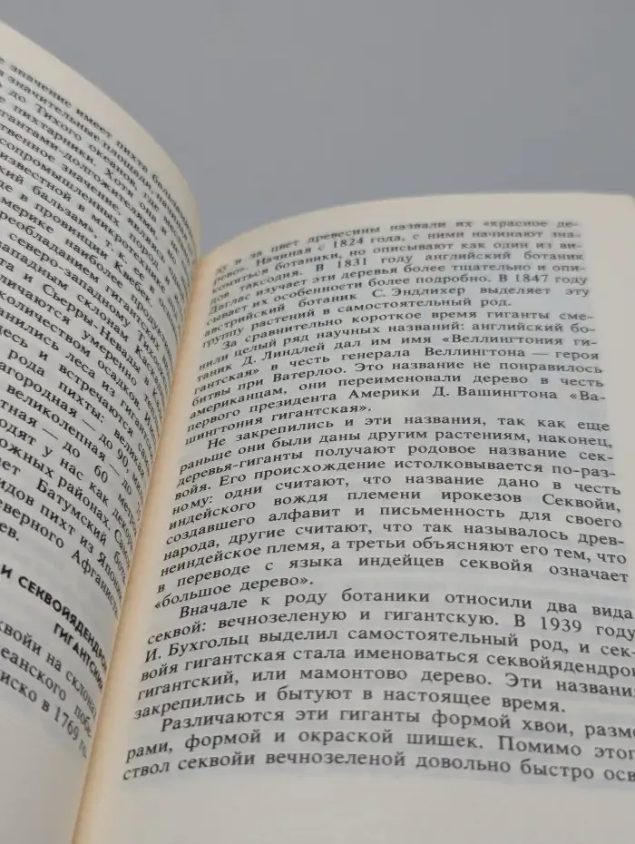 Гиганты и карлики растительного мира