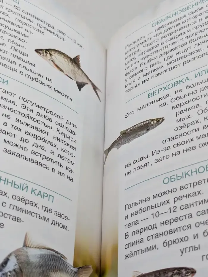 Кто живет рядом с нами