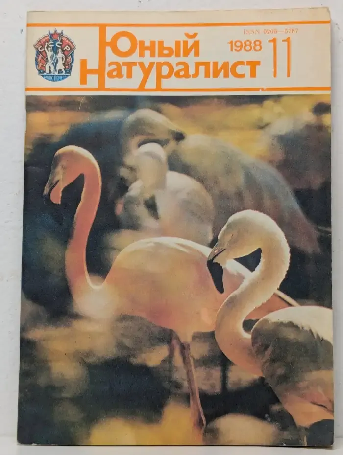 Юный натуралист. Выпуск № 11/1988