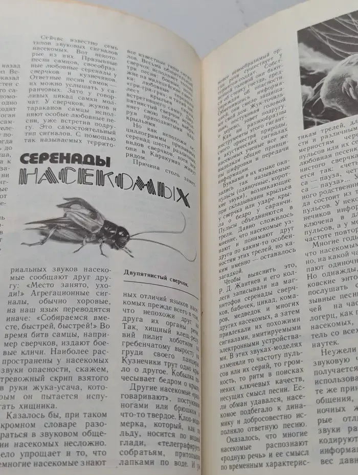 Юный натуралист. Выпуск № 4/1989